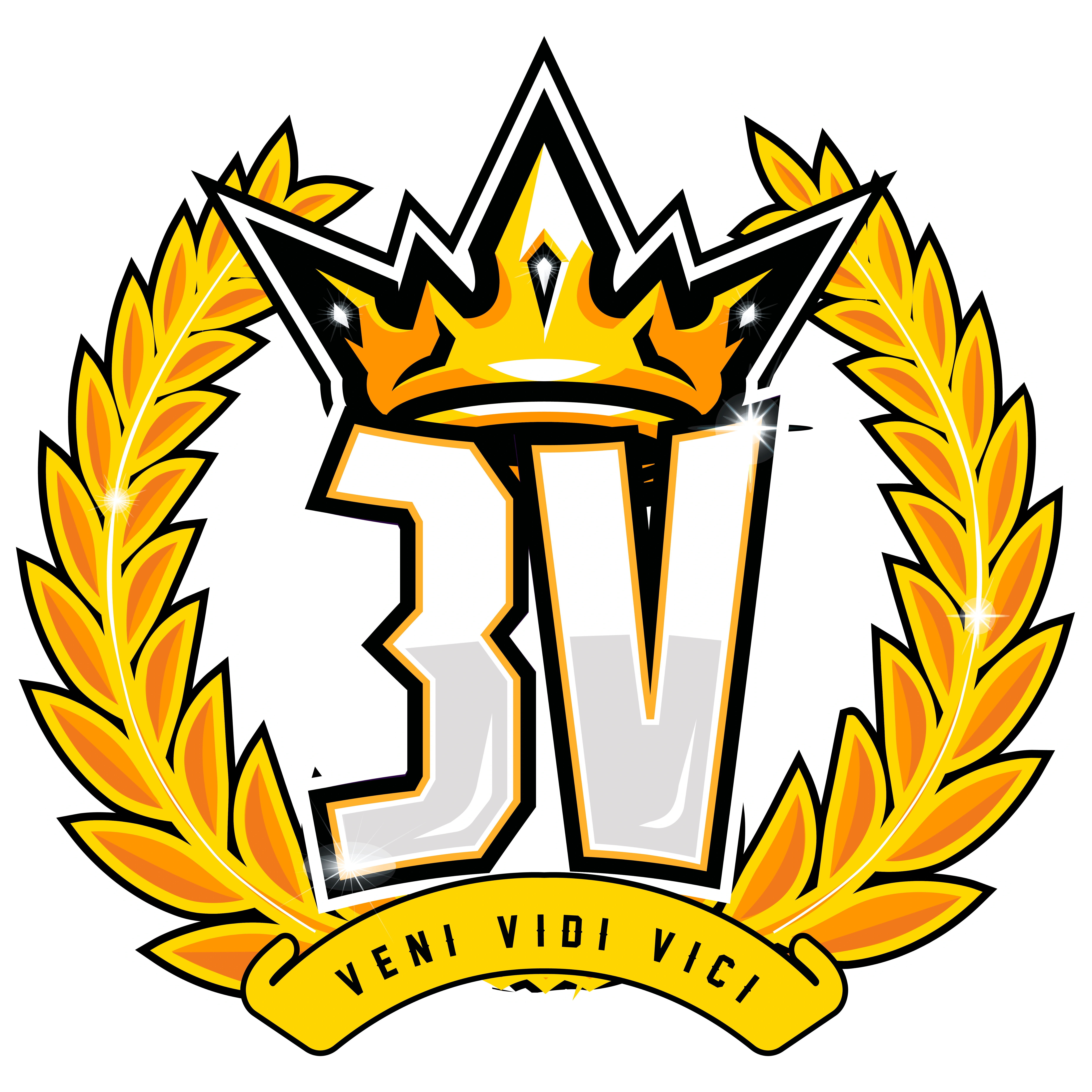 3v Team