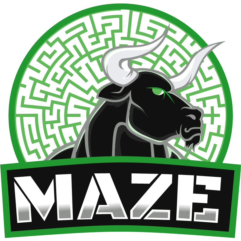 Maze Gaming