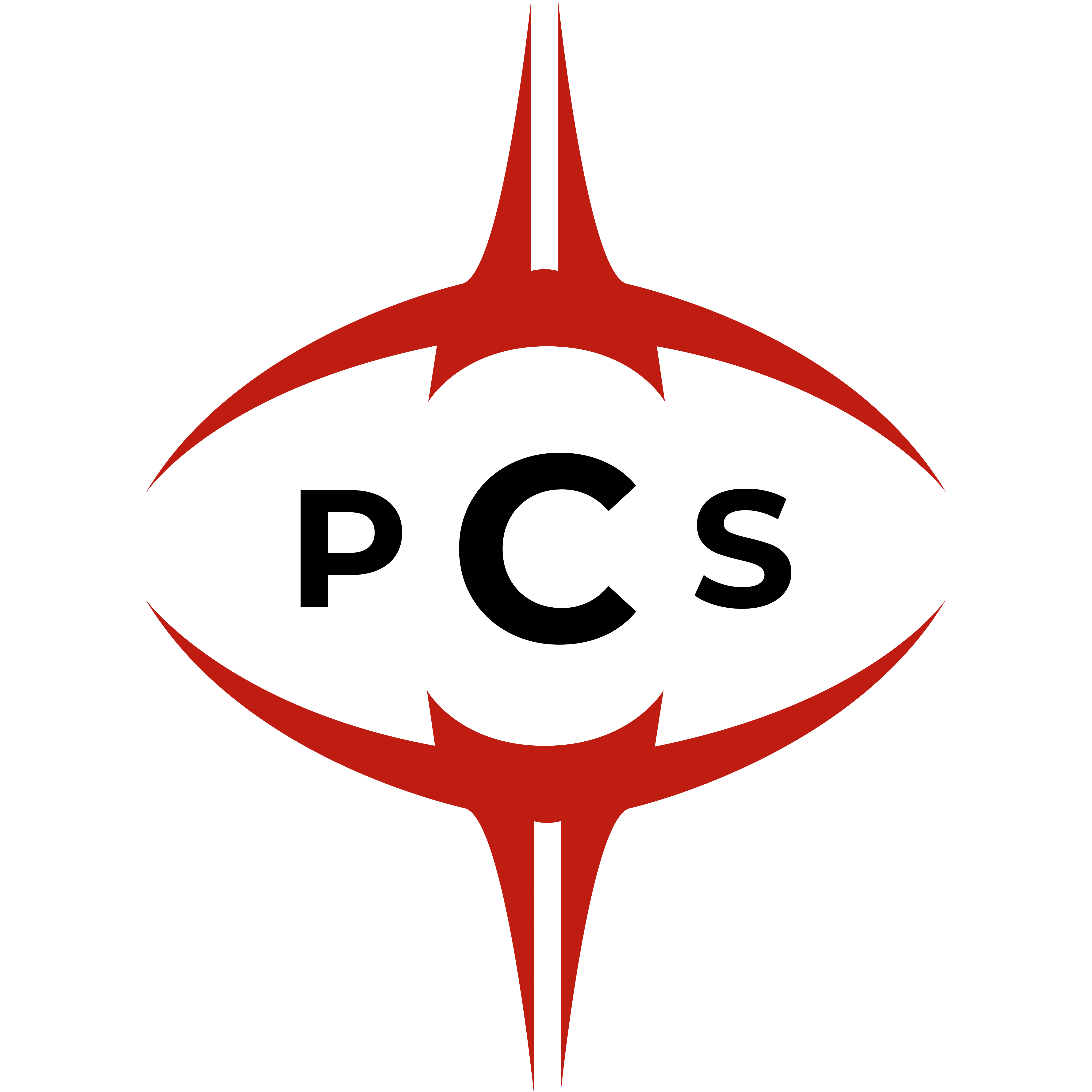 Project Conquerors
