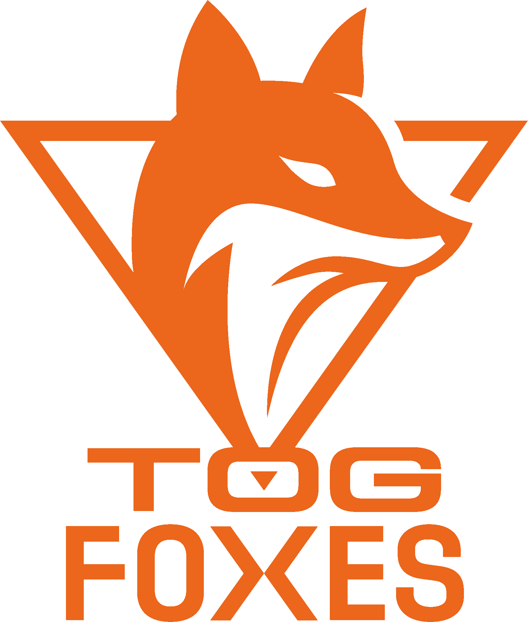 TeamOrangeGaming