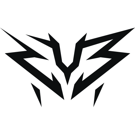 ZYB Esport
